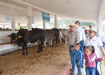 Llevan Programa de Mejoramiento Genético al municipio de Aldama