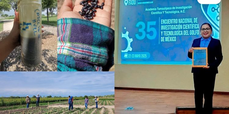 Elabora estudiante de la UAT bioherbicida para cultivos de frijol