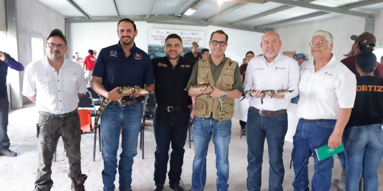 Colabora la UAT en la conservación y control del cocodrilo morelet