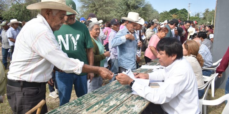 Abren ventanillas para el programa de fertilizante a citricultores