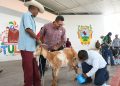 Fortalecen el sector caprino en Tula con muestra regional