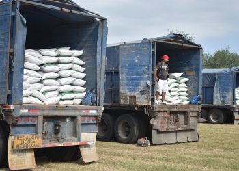 Abren ventanillas para el programa de fertilizante a citricultores