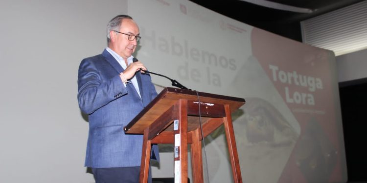 Proyecta Tamaulipas liderazgo nacional en conservación de tortuga lora
