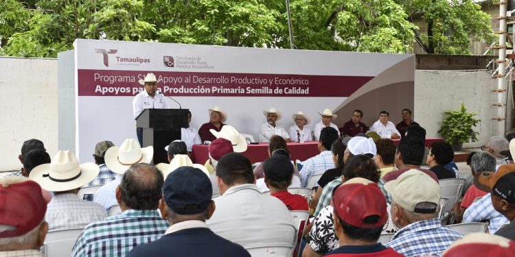 Fortalecen producción agrícola en Aldama, Altamira y González con entrega de semilla