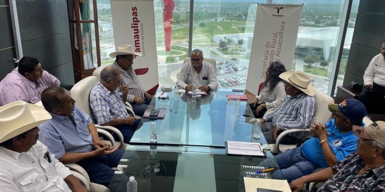 Se reúne secretario de Desarrollo Rural con productores agrícolas