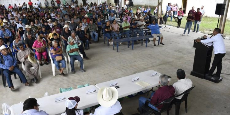 Refuerza Gobierno de Tamaulipas apoyo al campo con entrega de semillas de alta calidad