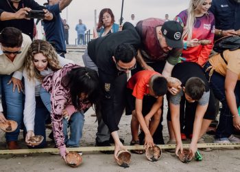Refuerzan protección de la tortuga lora y turismo responsable en Matamoros