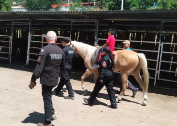 Apoya Agrupamiento Montado de la Guardia Estatal con equinoterapia a personas con discapacidad