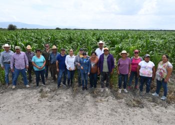 Impulsan productividad y sostenibilidad del sector agropecuario tamaulipeco