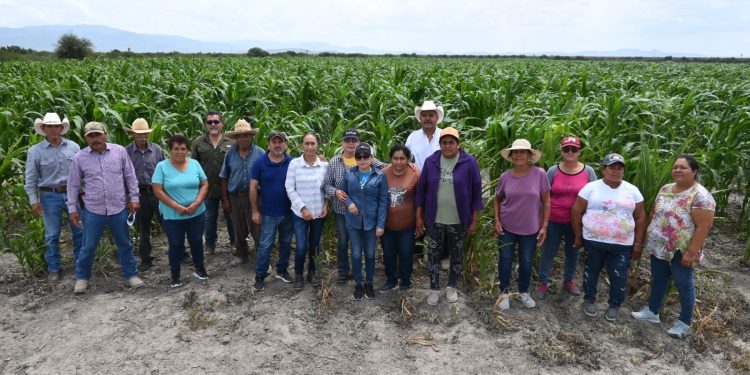 Impulsan productividad y sostenibilidad del sector agropecuario tamaulipeco