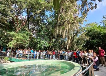 Disfrutan miles de familias espacios recreativos de la Comisión de Parques