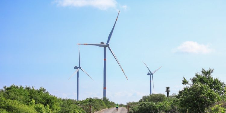 Tamaulipas aspira a ser el principal estado productor de energía eólica del país