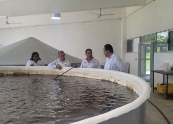 Avanza Universidad Tecnológica del Mar en infraestructura, equipamiento y oferta académica