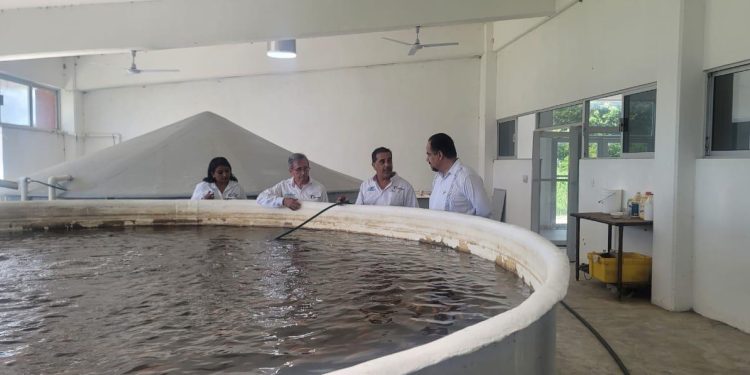 Avanza Universidad Tecnológica del Mar en infraestructura, equipamiento y oferta académica