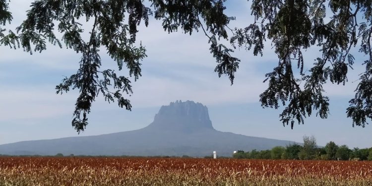 Analiza Tamaulipas estrategias para fortalecer el turismo en comunidades rurales