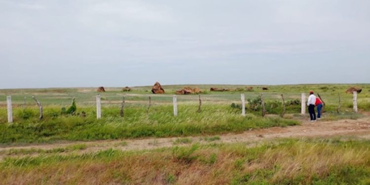 Regulariza ITAVU más de 800 colonias y asentamientos en Tamaulipas