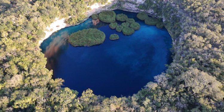 Eleva Secretaría de Turismo nivel de los guías turísticos