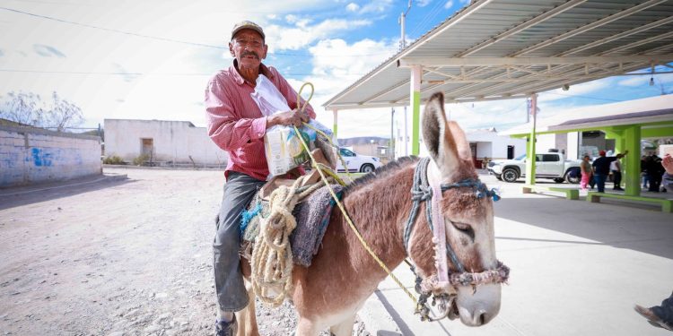Entrega DIF Tamaulipas canastas alimentarias a población de atención prioritaria ante las bajas temperaturas