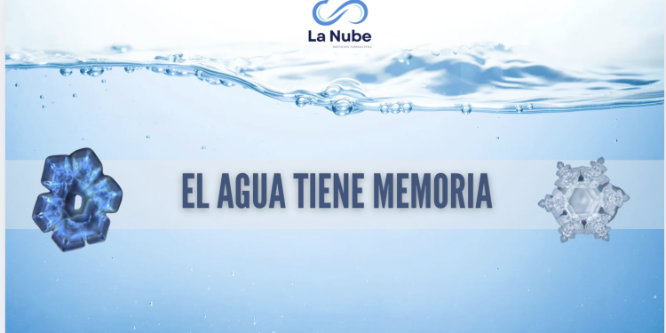 ¿El agua tiene memoria? El fascinante experimento que desafía lo que sabemos sobre la ciencia
