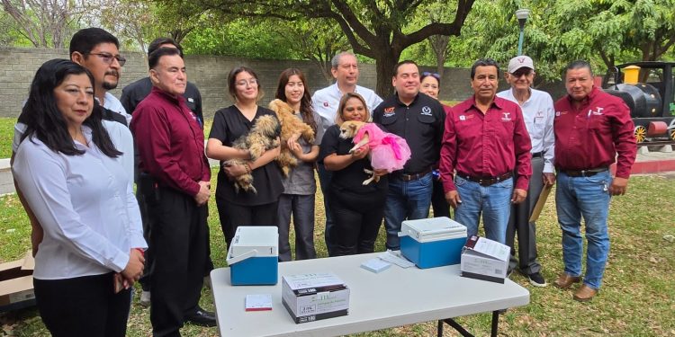 ¡Protege a tu mascota! Inicia vacunación antirrábica en Tamaulipas con 345 mil dosis