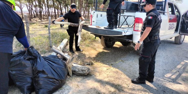 Unidos por el medio ambiente: Guardia Estatal y Marina limpian Playa La Pesca