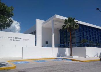 «Extiende tus Brazos por México»: Tamaulipas invita a niños al Concurso Nacional de Dibujo