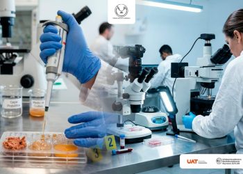 Ciencia y Salud: UAM Reynosa Aztlán convoca a Maestrías y Doctorado