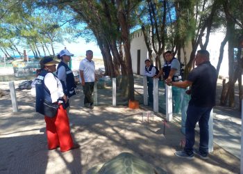 Tamaulipas, referente científico: Expertos refuerzan protección de la tortuga lora