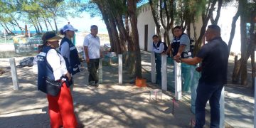 Tamaulipas, referente científico: Expertos refuerzan protección de la tortuga lora
