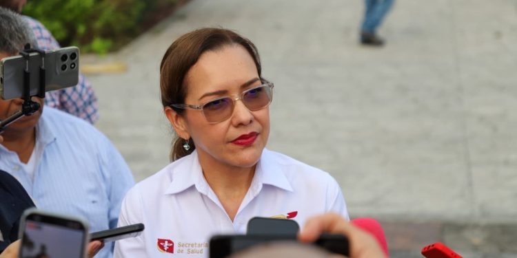 Tamaulipas mantiene a raya el dengue; Salud advierte repunte de enfermedades por calor