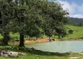 Impulsan el desarrollo de la Cooperativa Ecoturística Puerto Paraíso: Sectur