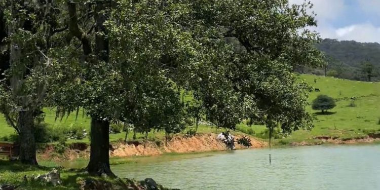 Impulsan el desarrollo de la Cooperativa Ecoturística Puerto Paraíso: Sectur