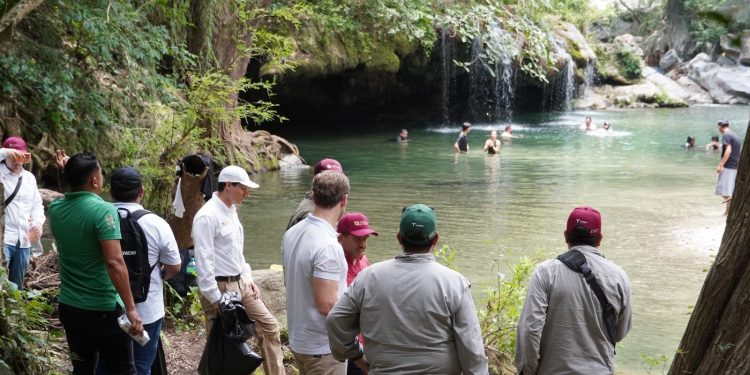 Reafirma SEDUMA su compromiso con la conservación de Los Troncones