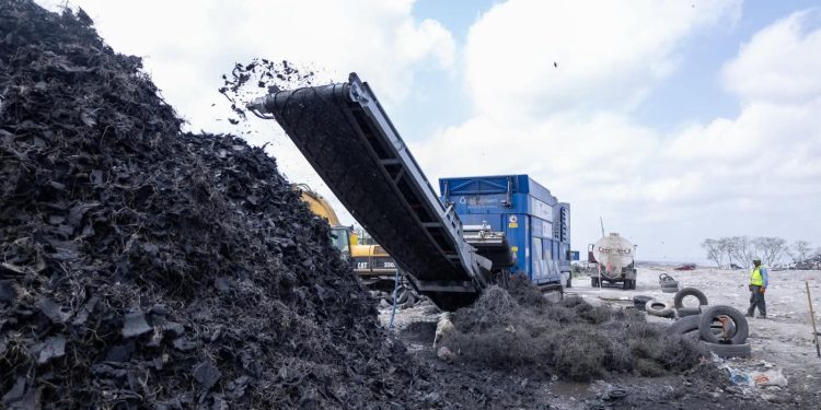 Matamoros rebasa las 80 mil llantas trituradas para proteger el medio ambiente y la salud pública