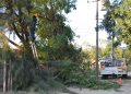 SEDENER mantiene atención a reportes por fallas en el suministro eléctrico