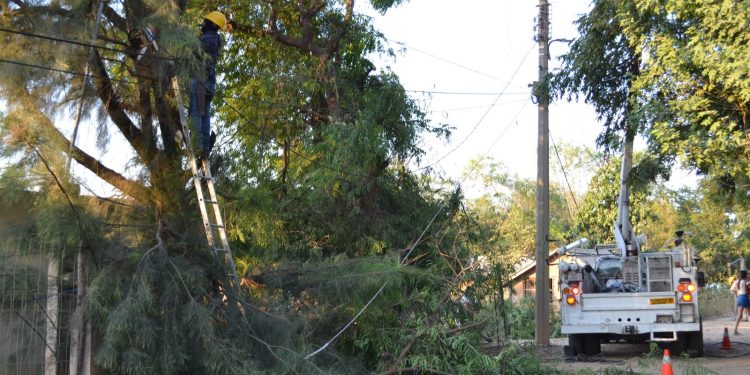 SEDENER mantiene atención a reportes por fallas en el suministro eléctrico