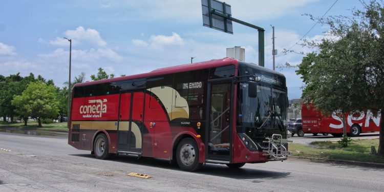 Fortalece SEDUMA la coordinación con autoridades de tránsito para mejorar el servicio de movilidad urbana Conecta