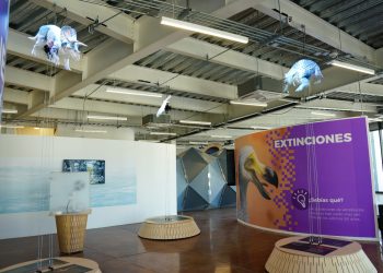 Alcaldesa Carmen Lilia Canturosas alista apertura del Museo de Ciencia, Tecnología y Planetario