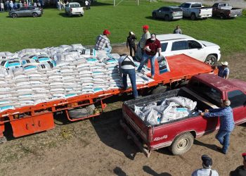 Concluye distribución de 662.5 toneladas de fertilizante a citricultores de Tamaulipas