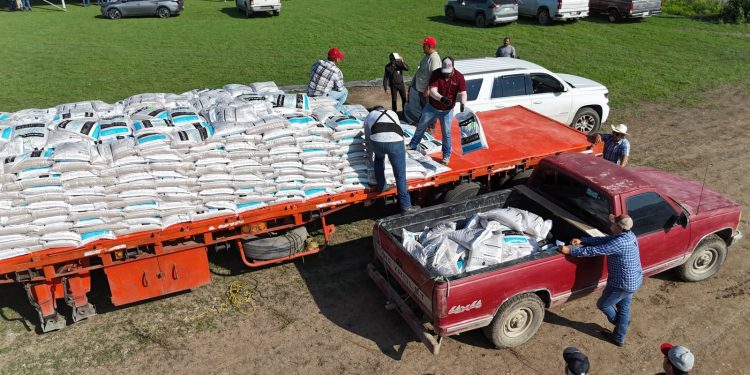 Concluye distribución de 662.5 toneladas de fertilizante a citricultores de Tamaulipas