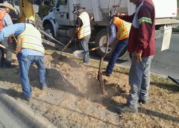 Lleva Gobierno Municipal más vida a las calles de Nuevo Laredo con jornada de forestación
